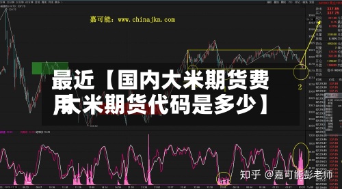 最近【国内大米期货费用
,大米期货代码是多少】-第3张图片