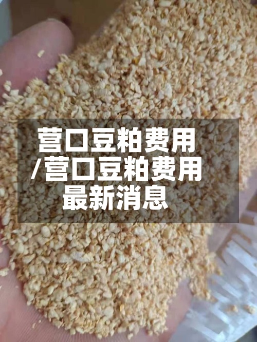 营口豆粕费用
/营口豆粕费用
最新消息-第2张图片