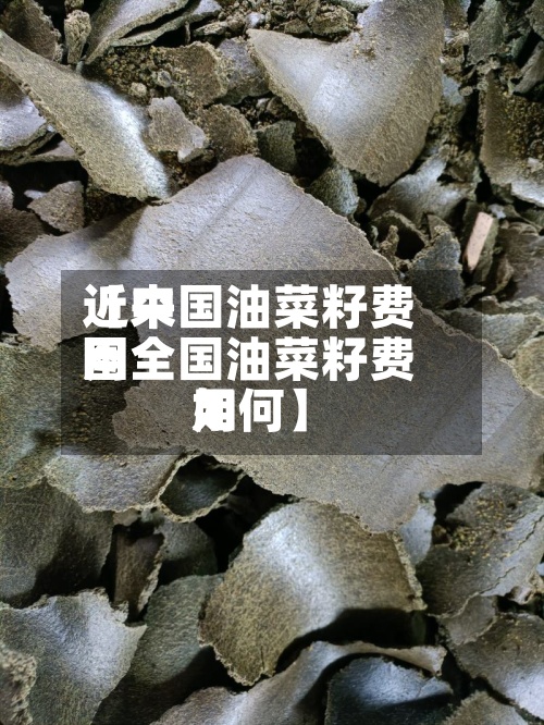 近来【中国油菜籽费用图全国油菜籽费用如何】