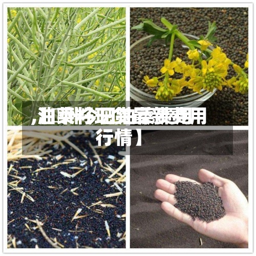 【鄭州今日油菜费用,油菜籽现货最新费用行情】-第2张图片
