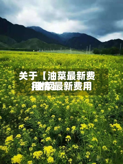 关于【油菜最新费用
,油菜最新费用
行情】-第2张图片