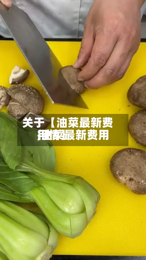 关于【油菜最新费用,油菜最新费用行情】