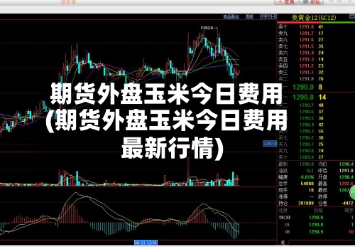 期货外盘玉米今日费用(期货外盘玉米今日费用最新行情)