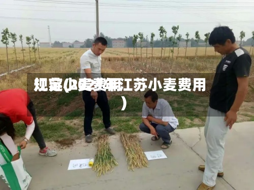 江苏小麦费用
规定(2021年江苏小麦费用
)-第2张图片