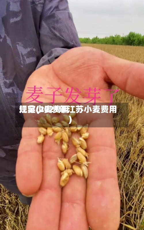 江苏小麦费用
规定(2021年江苏小麦费用
)-第3张图片