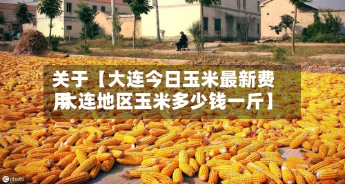 关于【大连今日玉米最新费用
,大连地区玉米多少钱一斤】-第3张图片