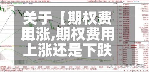 关于【期权费用
上涨,期权费用
上涨还是下跌】-第3张图片