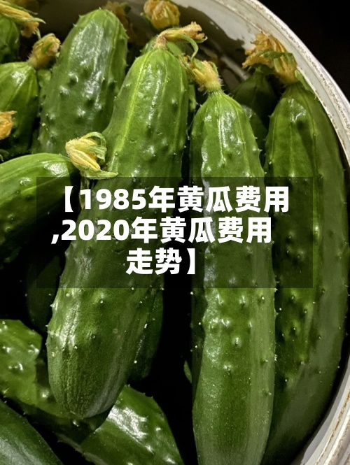 【1985年黄瓜费用,2020年黄瓜费用走势】