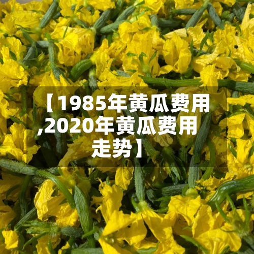 【1985年黄瓜费用
,2020年黄瓜费用
走势】-第3张图片