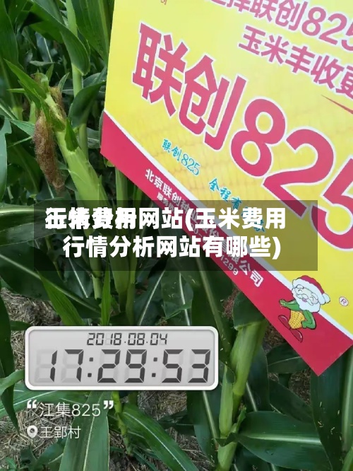 玉米费用
行情分析网站(玉米费用
行情分析网站有哪些)-第3张图片