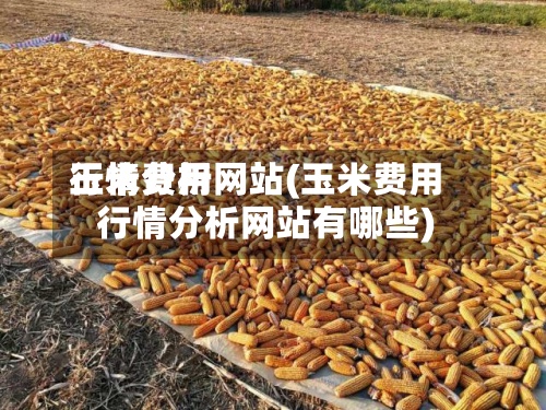 玉米费用行情分析网站(玉米费用行情分析网站有哪些)