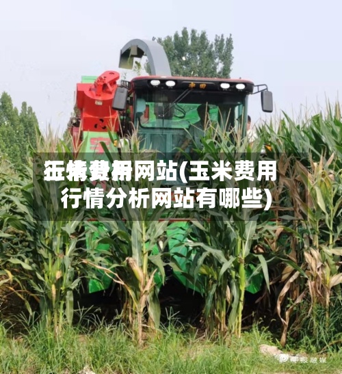 玉米费用
行情分析网站(玉米费用
行情分析网站有哪些)-第2张图片