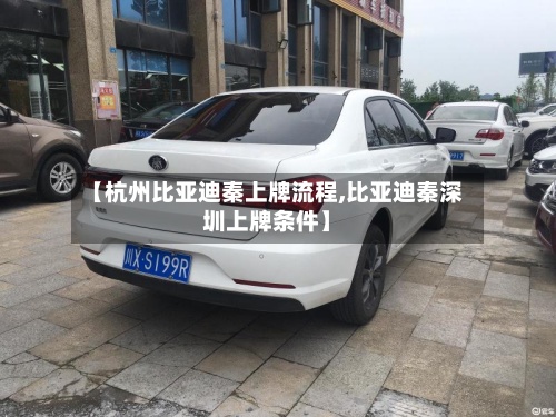 【杭州比亚迪秦上牌流程,比亚迪秦深圳上牌条件】