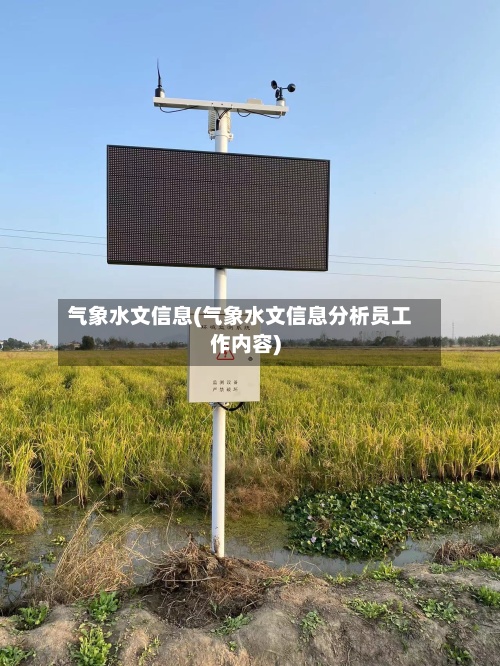 气象水文信息(气象水文信息分析员工作内容)