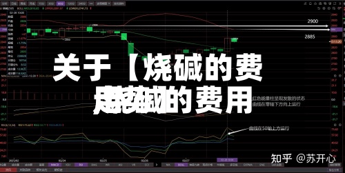 关于【烧碱的费用,烧碱的费用走势】