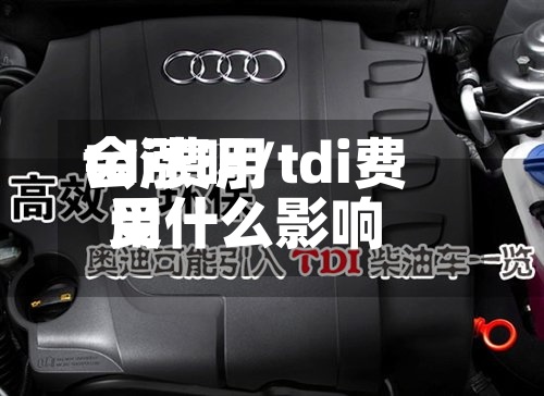 tdi费用
会涨吗/tdi费用
受什么影响-第2张图片