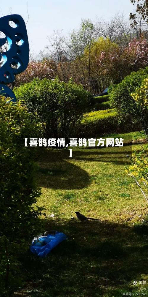【喜鹊疫情,喜鹊官方网站】