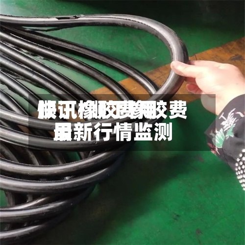 顺丁橡胶费用快讯/顺丁橡胶费用最新行情监测