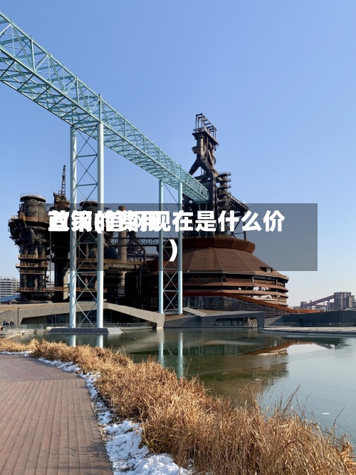 首钢的费用政策(首钢现在是什么价)