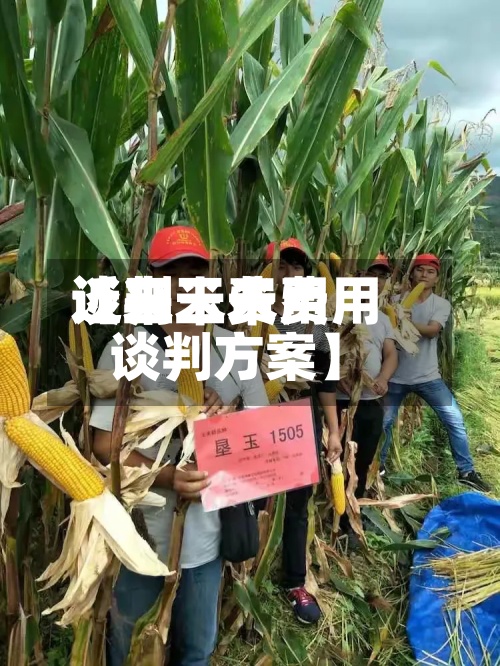 近来【玉米费用谈判玉米费用谈判方案】