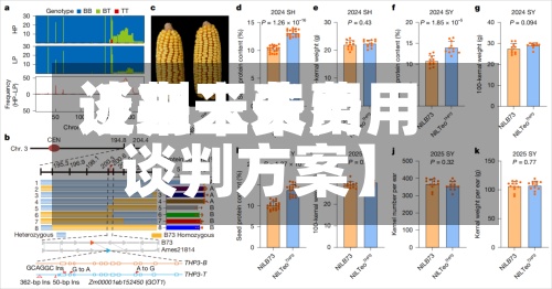 近来
【玉米费用
谈判玉米费用
谈判方案】-第2张图片