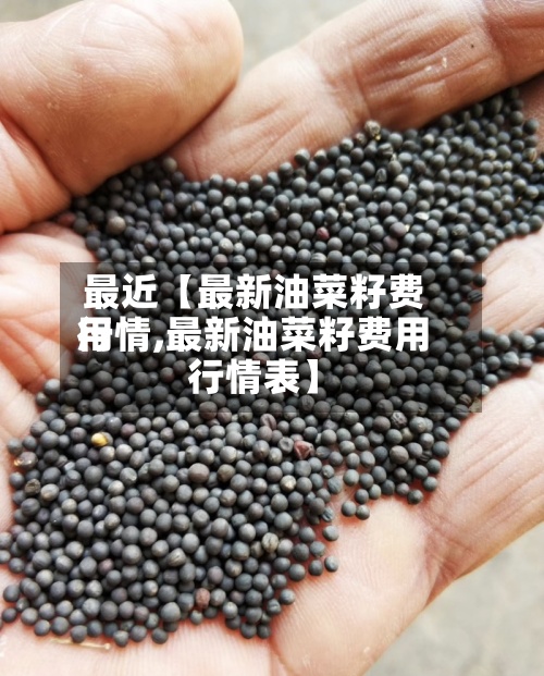 最近【最新油菜籽费用行情,最新油菜籽费用行情表】-第2张图片