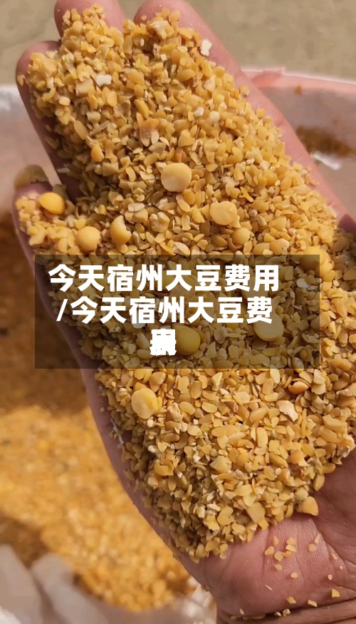 今天宿州大豆费用
/今天宿州大豆费用
表-第3张图片