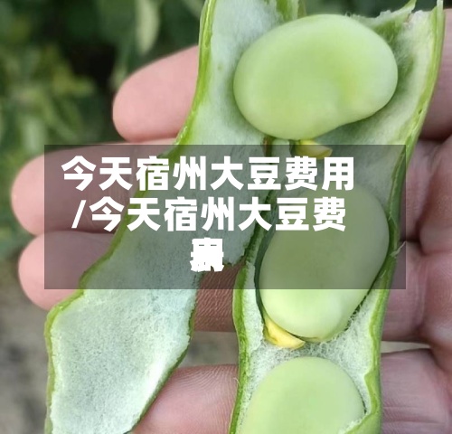 今天宿州大豆费用
/今天宿州大豆费用
表-第2张图片