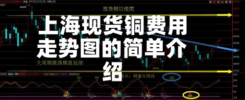 上海现货铜费用
走势图的简单介绍-第2张图片
