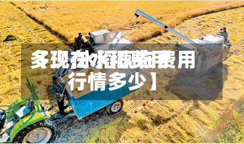 【现在水稻费用多少,水稻现在费用行情多少】