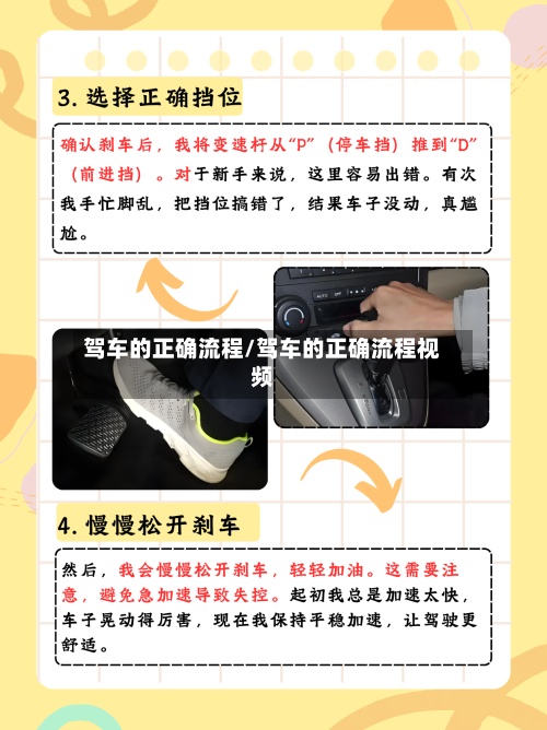 驾车的正确流程/驾车的正确流程视频-第2张图片