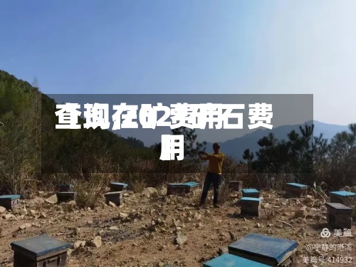 【现在矿费用查询,2021矿石费用】-第3张图片