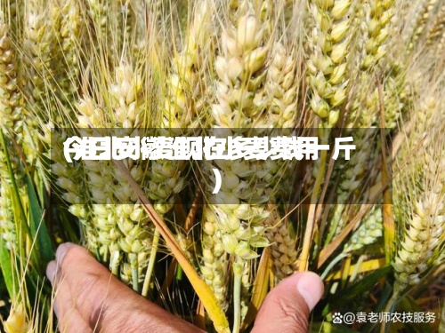 今日安徽淮北小麦费用
(淮北小麦现在多少钱一斤)-第2张图片