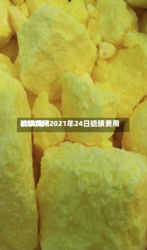 硫磺费用2020年/2021年24日硫磺费用
