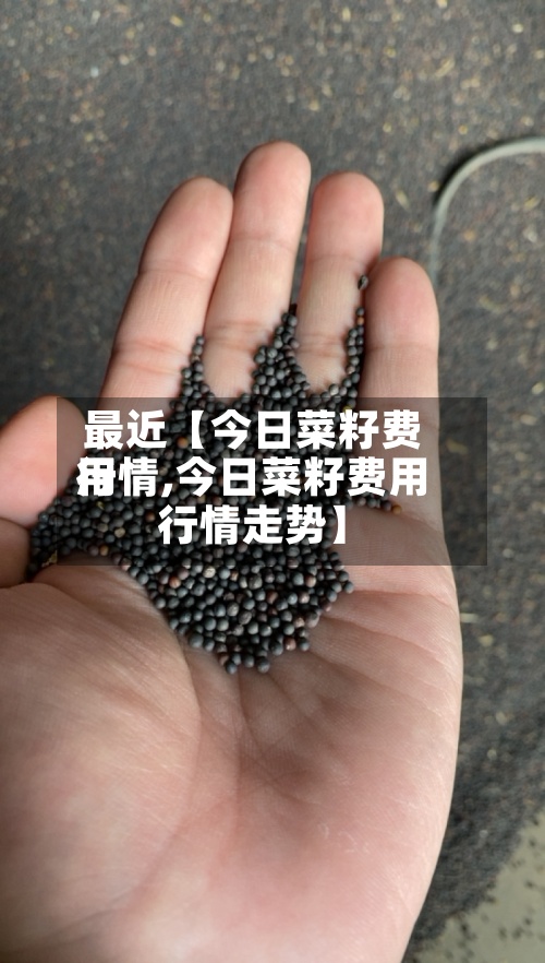最近【今日菜籽费用行情,今日菜籽费用行情走势】-第3张图片