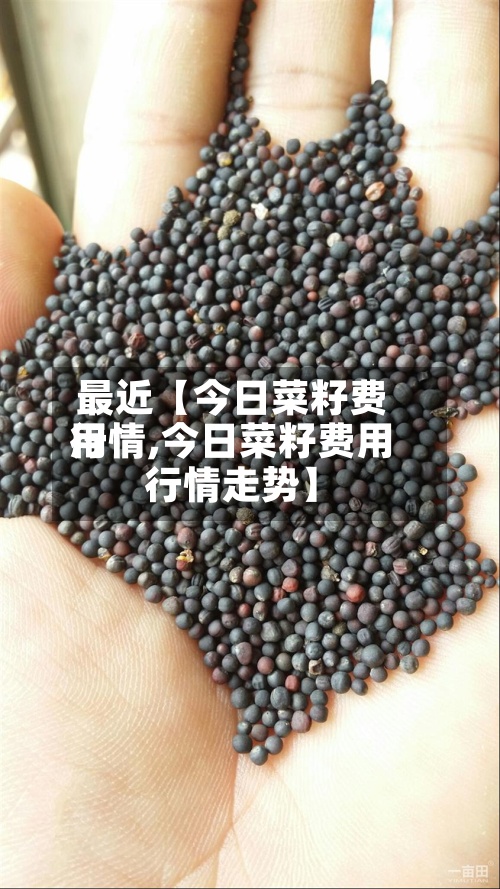 最近【今日菜籽费用行情,今日菜籽费用行情走势】-第2张图片