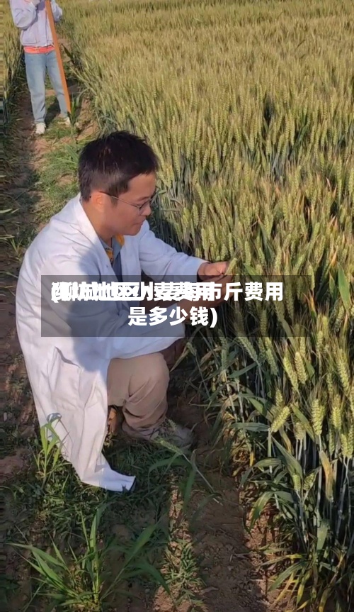 潍坊地区小麦费用(聊城地区小麦每市斤费用是多少钱)