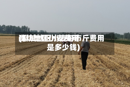 潍坊地区小麦费用(聊城地区小麦每市斤费用是多少钱)-第2张图片