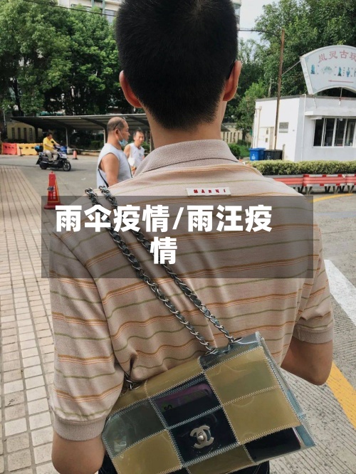 雨伞疫情/雨汪疫情-第2张图片