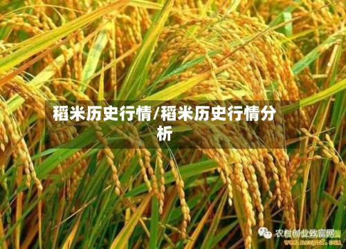 稻米历史行情/稻米历史行情分析-第2张图片