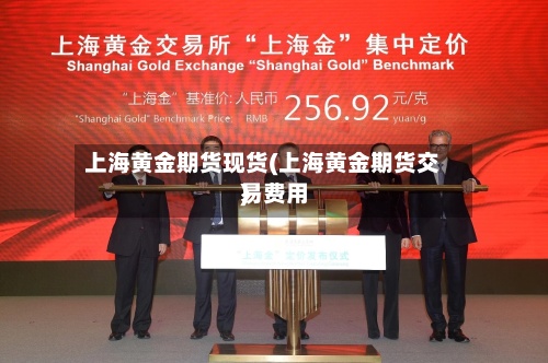 上海黄金期货现货(上海黄金期货交易费用
)-第3张图片