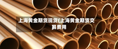 上海黄金期货现货(上海黄金期货交易费用
)-第2张图片
