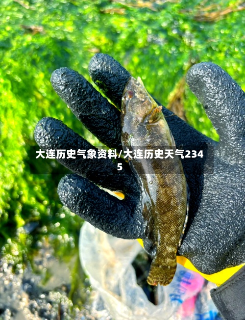 大连历史气象资料/大连历史天气2345-第2张图片