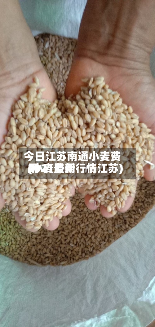 今日江苏南通小麦费用
(小麦费用
2021最新行情江苏)-第3张图片