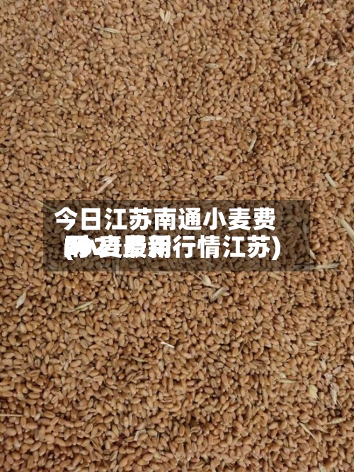 今日江苏南通小麦费用
(小麦费用
2021最新行情江苏)-第2张图片