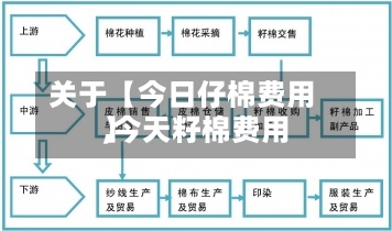关于【今日仔棉费用
,今天籽棉费用
】-第2张图片