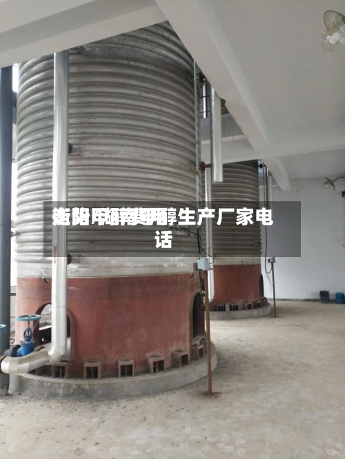 衡阳甲醇费用走势/湖南甲醇生产厂家电话-第2张图片