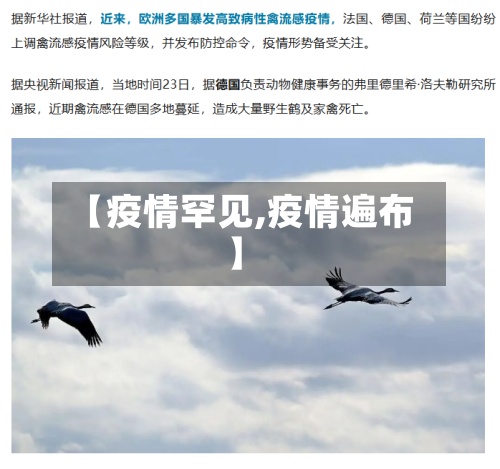 【疫情罕见,疫情遍布】