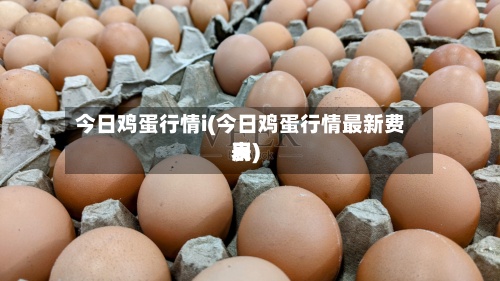 今日鸡蛋行情i(今日鸡蛋行情最新费用
表)-第2张图片