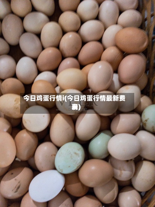 今日鸡蛋行情i(今日鸡蛋行情最新费用
表)-第3张图片